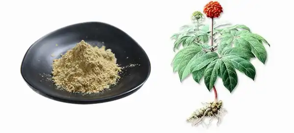 product-1-1 product-1-1