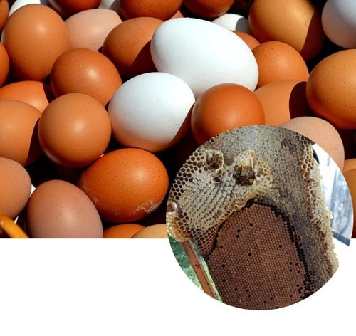 product-1-1 product-1-1