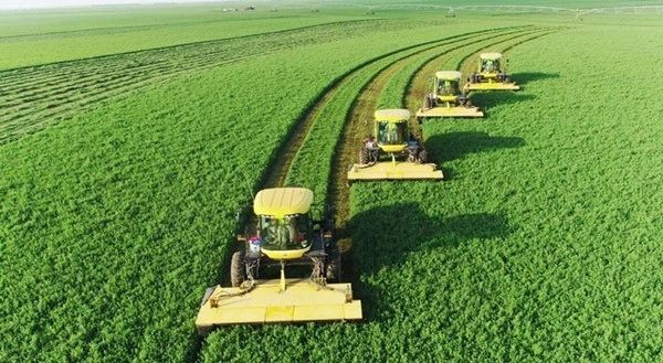 product-1-1 product-1-1