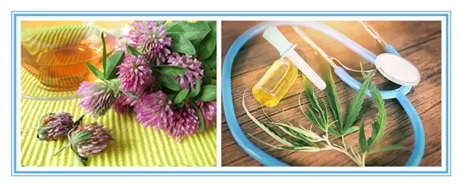 product-1-1 product-1-1