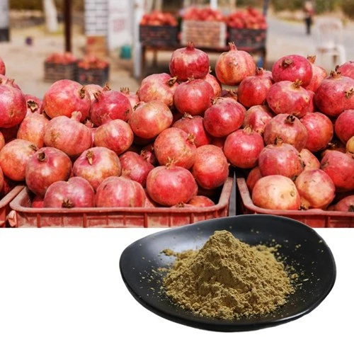 product-1-1 product-1-1