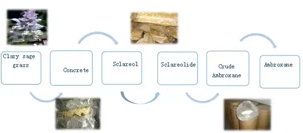 product-1-1 product-1-1