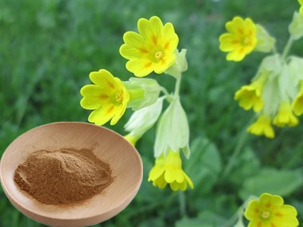 product-1-1 product-1-1