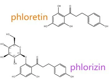 product-1-1 product-1-1