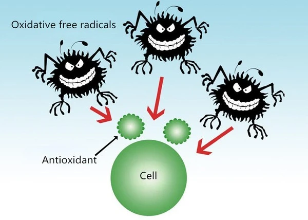 product-1-1 product-1-1