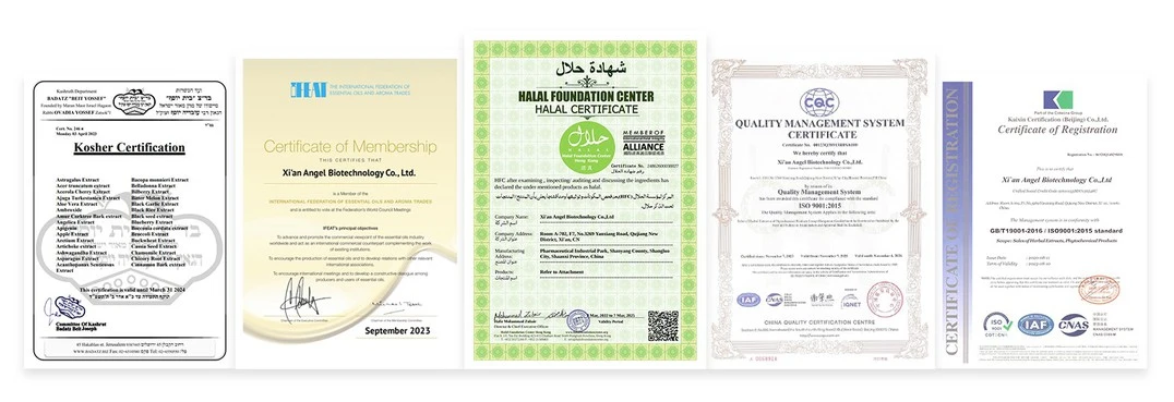 product-1-1 product-1-1