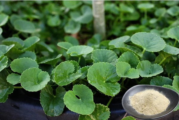 product-1-1 product-1-1