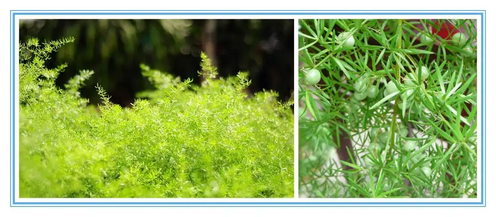 product-1-1 product-1-1