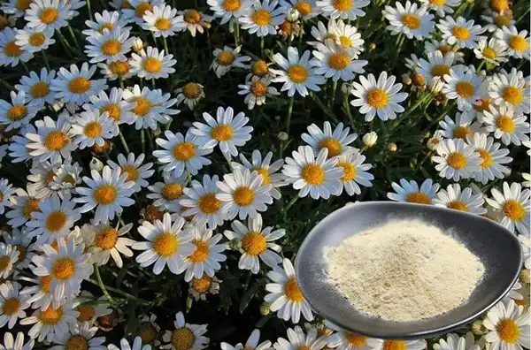 product-1-1 product-1-1