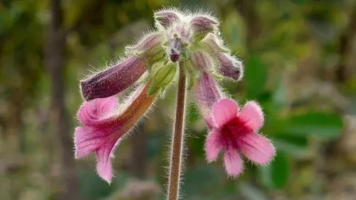 product-1-1 product-1-1