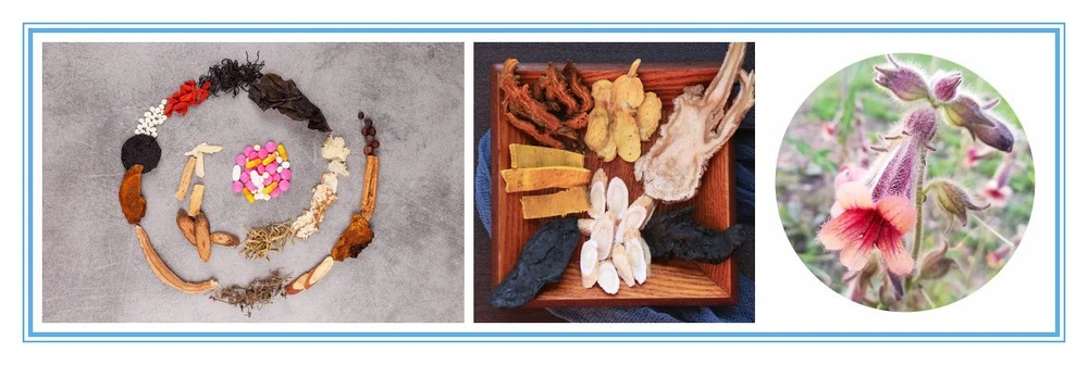 product-1-1 product-1-1