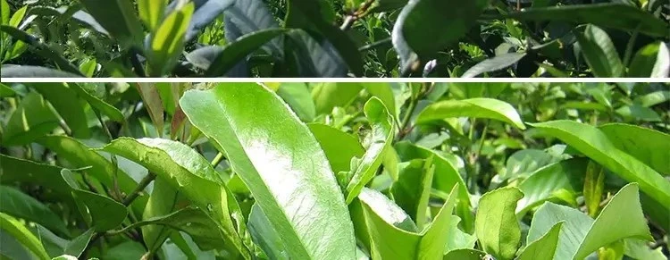 product-1-1 product-1-1