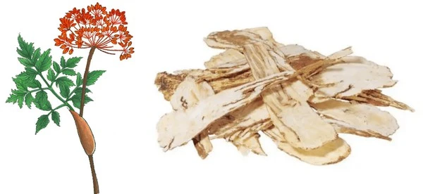 product-1-1 product-1-1