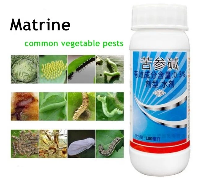 product-1-1 product-1-1