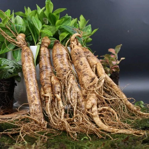 product-1-1 product-1-1