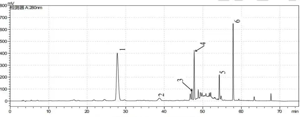 product-1-1 product-1-1