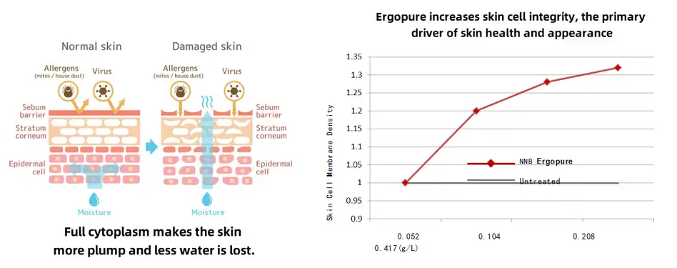 product-1-1 product-1-1