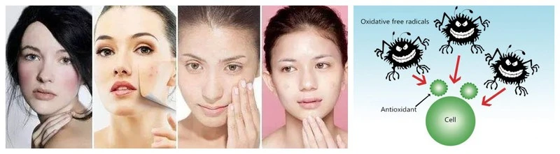 product-1-1 product-1-1