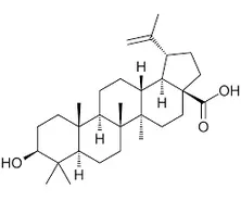 product-1-1 product-1-1
