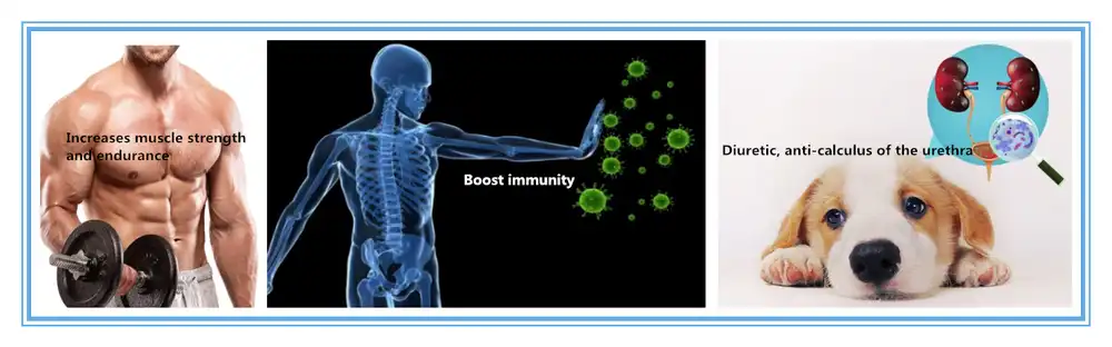 product-1-1 product-1-1