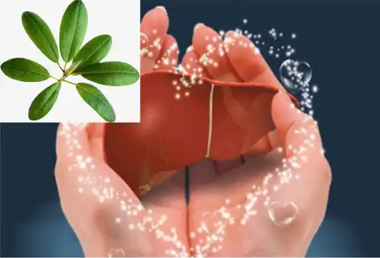 product-1-1 product-1-1