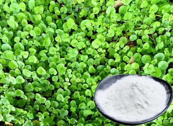 product-1-1 product-1-1