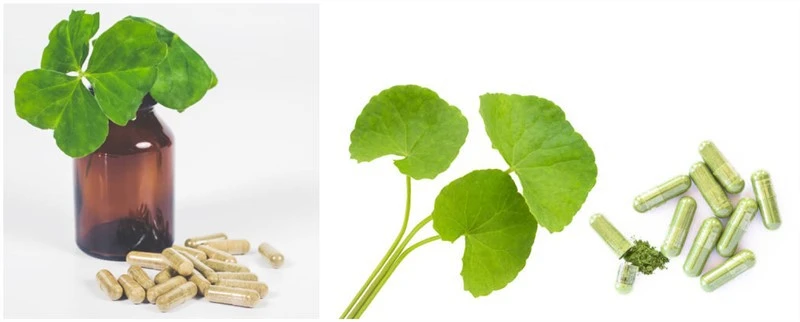 product-1-1 product-1-1