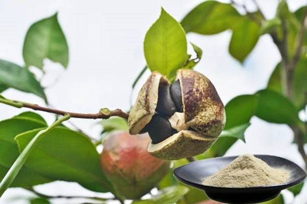 product-1-1 product-1-1