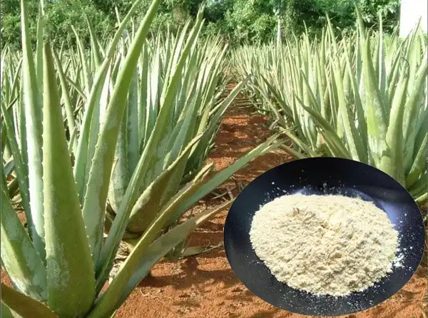 product-1-1 product-1-1