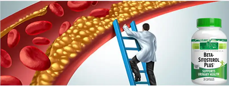 product-1-1 product-1-1