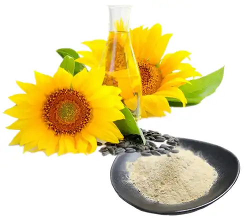 product-1-1 product-1-1