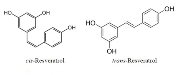 product-1-1