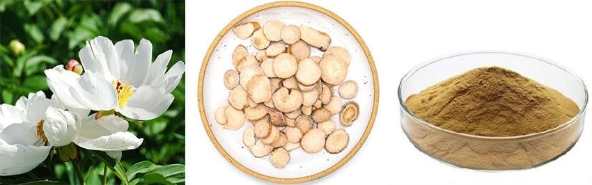 product-1-1 product-1-1