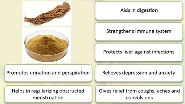 product-1-1 product-1-1