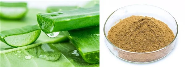 product-1-1 product-1-1