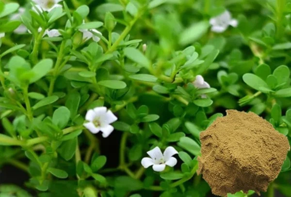 product-1-1 product-1-1