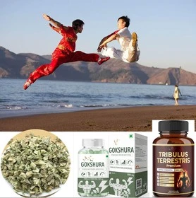 product-1-1 product-1-1