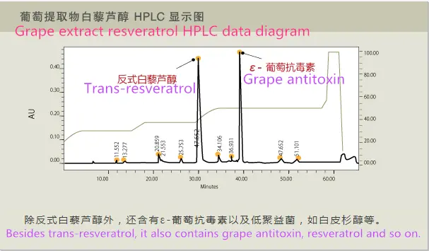 product-1-1 product-1-1