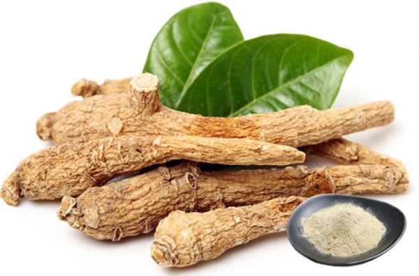 product-1-1 product-1-1