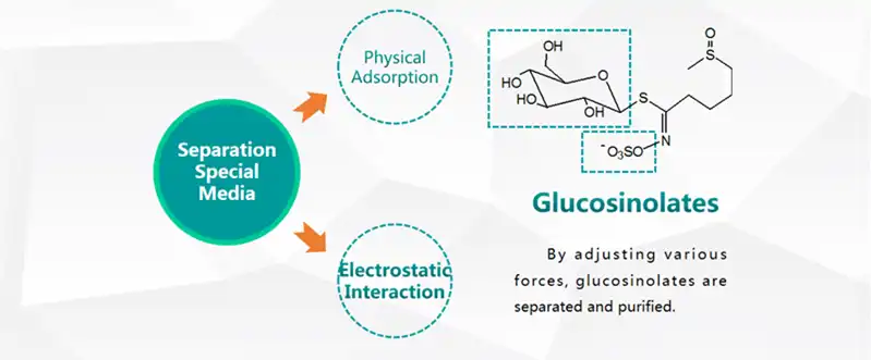 product-1-1 product-1-1