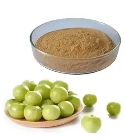 product-1-1 product-1-1