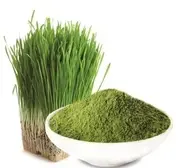 product-1-1 product-1-1