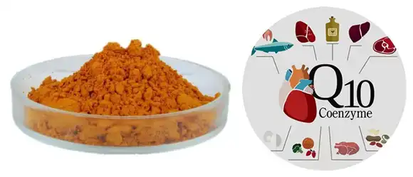 product-1-1 product-1-1