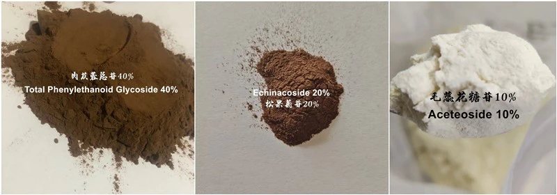 product-1-1 product-1-1