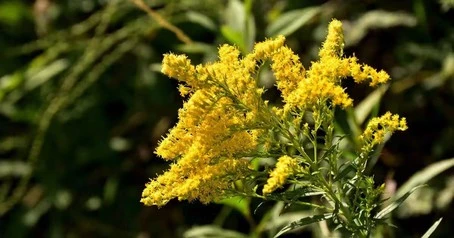 product-1-1 product-1-1