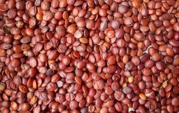 product-1-1 product-1-1