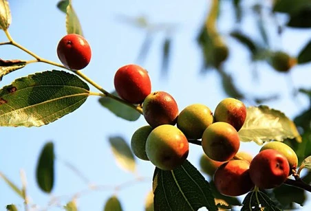 product-1-1 product-1-1