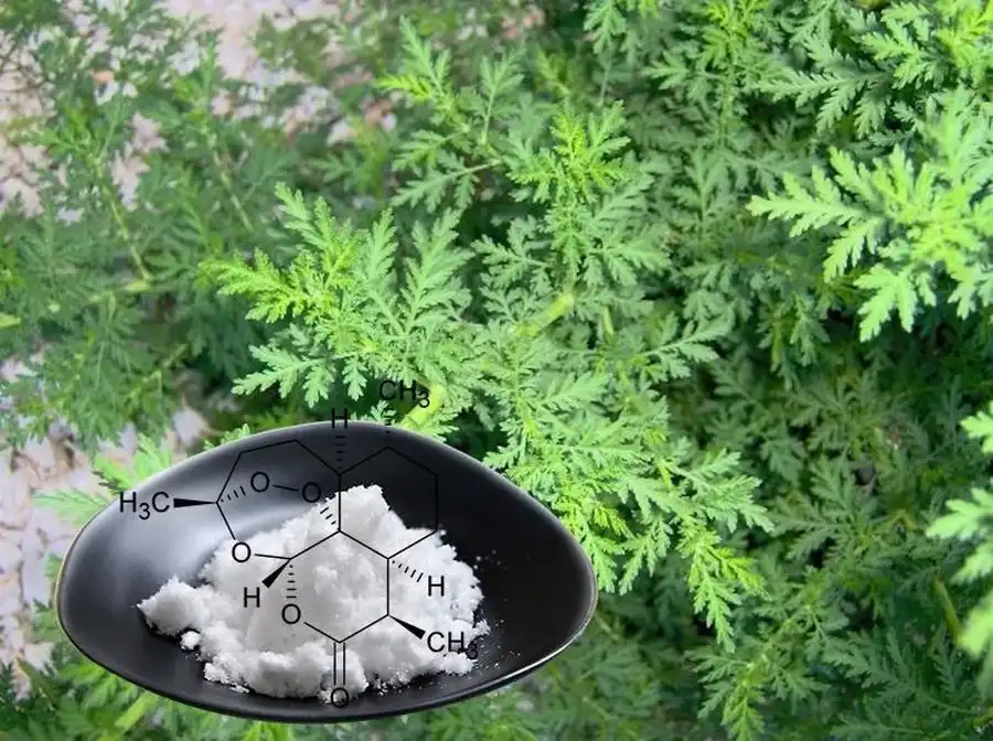 product-1-1 product-1-1