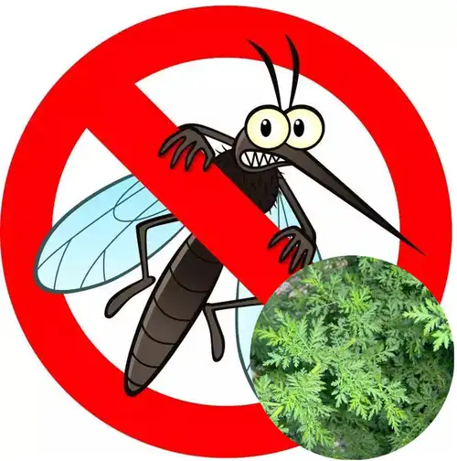 product-1-1 product-1-1