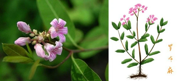 product-1-1 product-1-1